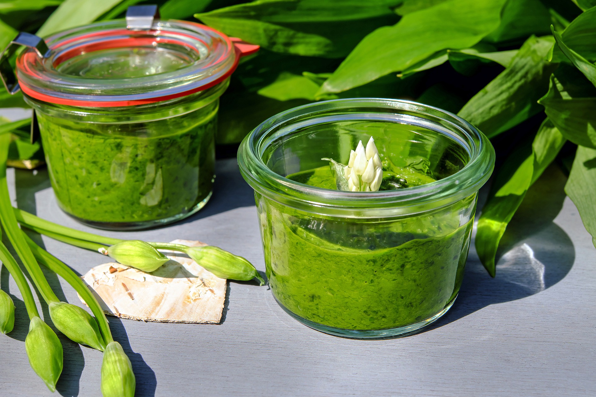Bärlauch – Grüße vom Frühling - Lebensquell Kräuter