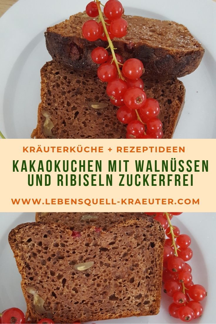 Kakaokuchen zuckerfrei - Lebensquell Kräuter